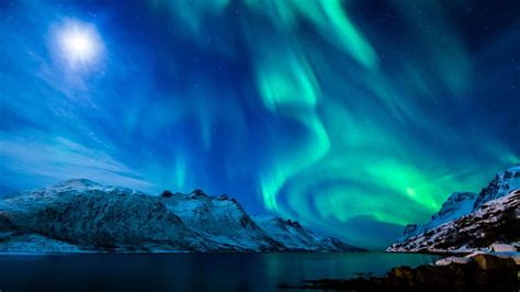 aurora pornhub|Night of the Northern Lights .